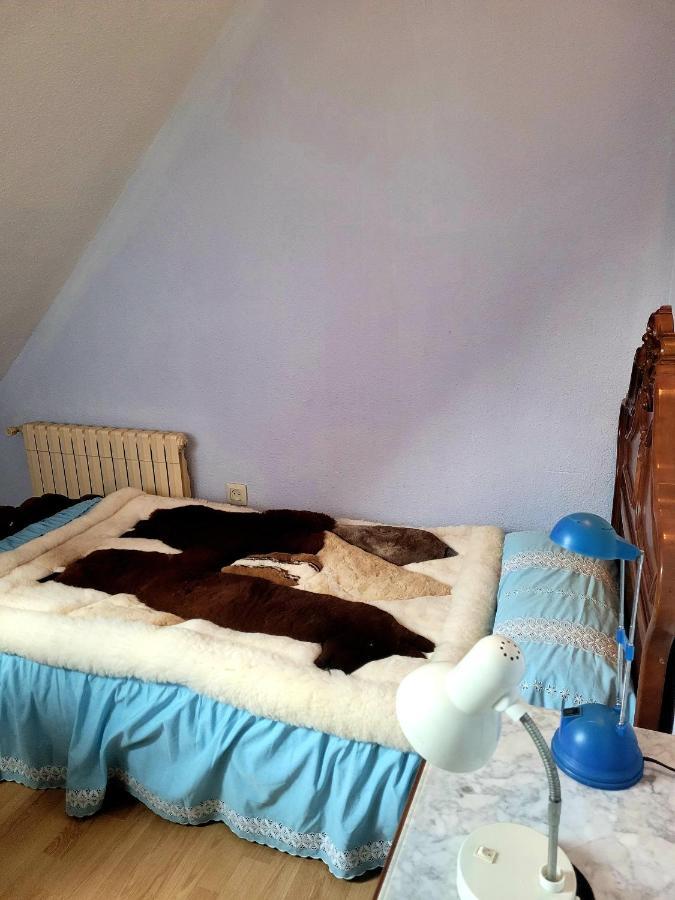Apartament Palau 2 Walencja Zewnętrze zdjęcie